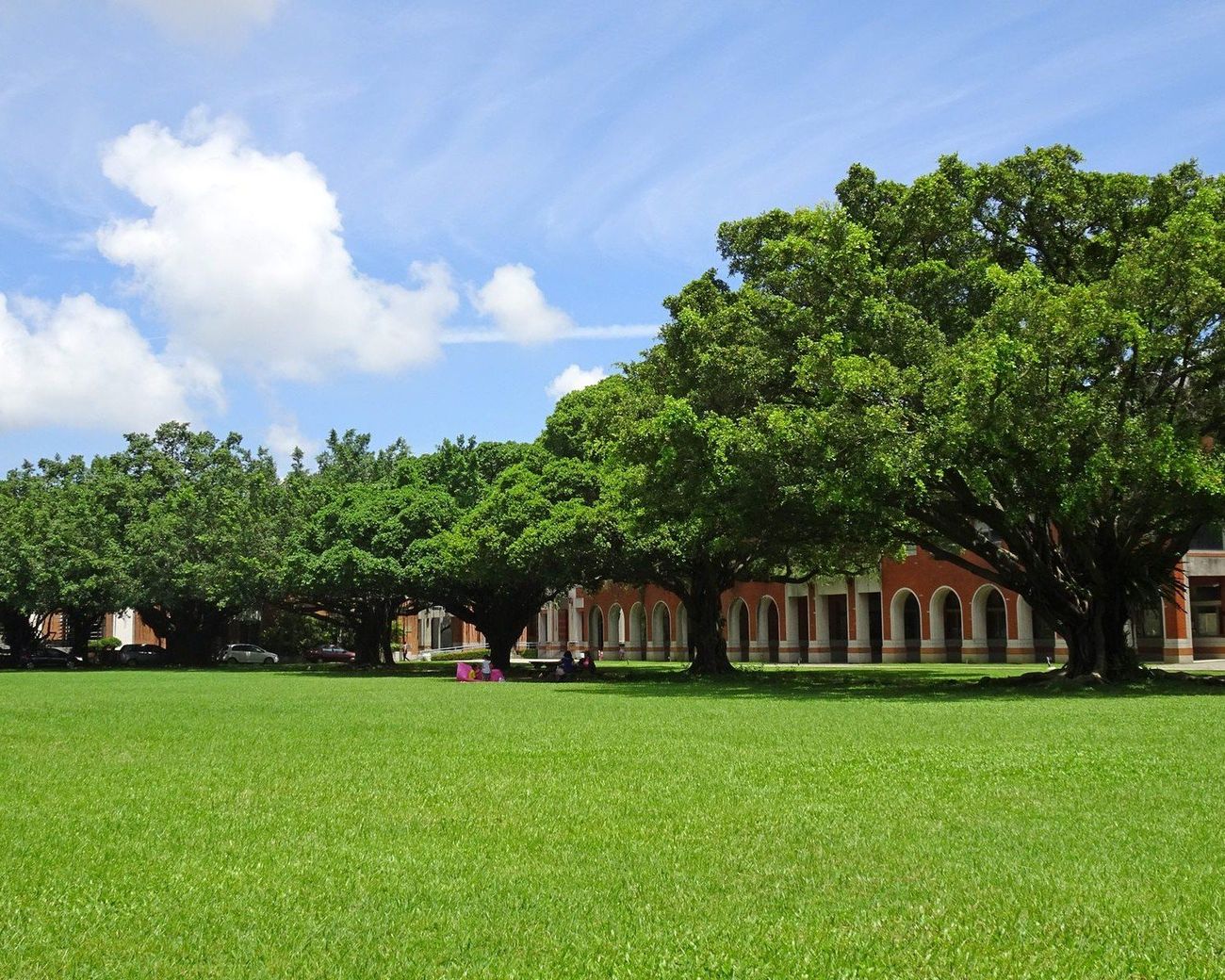 NCKU Banyan Garden on a summer day. A wide green lawn stretches across the frame; old banyan trees with broad canopies sit on either side; the red-brick arched buildings of the former Japanese colonial barracks line the far edge under a blue sky with scattered clouds.