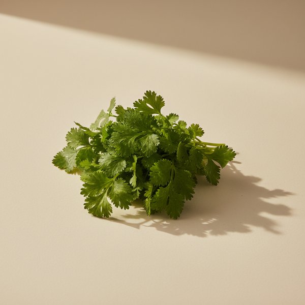 Cilantro leaves close-up — flagged as a polarising ingredient.