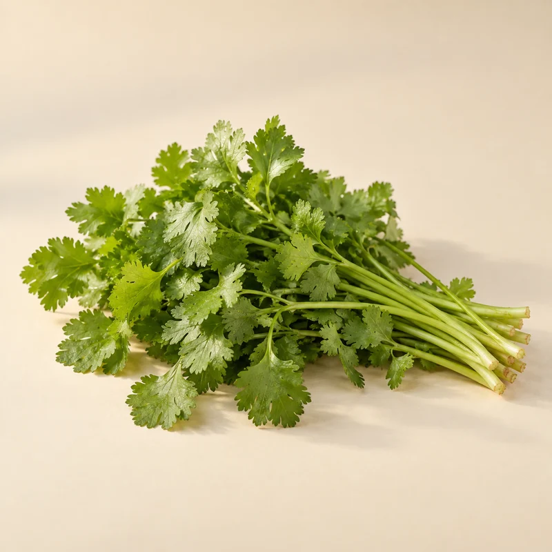 Cilantro leaves close-up — flagged as a polarising ingredient.